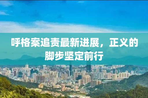 呼格案追責(zé)最新進(jìn)展，正義的腳步堅(jiān)定前行