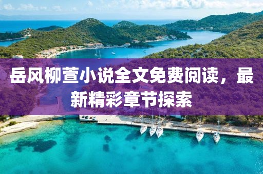 岳風柳萱小說全文免費閱讀，最新精彩章節(jié)探索