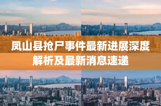 鳳山縣搶尸事件最新進展深度解析及最新消息速遞