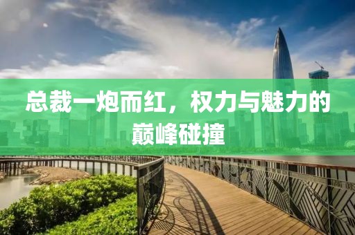 總裁一炮而紅，權(quán)力與魅力的巔峰碰撞