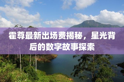 霍尊最新出場費(fèi)揭秘，星光背后的數(shù)字故事探索