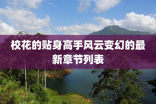 校花的貼身高手風(fēng)云變幻的最新章節(jié)列表
