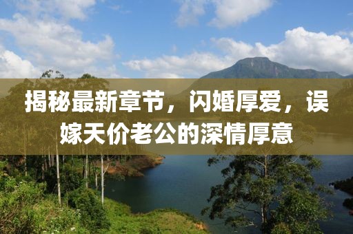 揭秘最新章節(jié)，閃婚厚愛，誤嫁天價老公的深情厚意