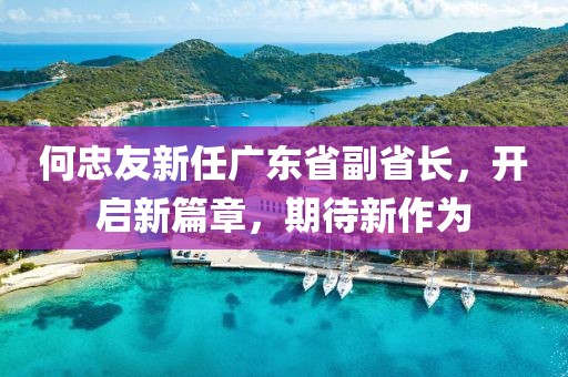 何忠友新任廣東省副省長(zhǎng)，開啟新篇章，期待新作為