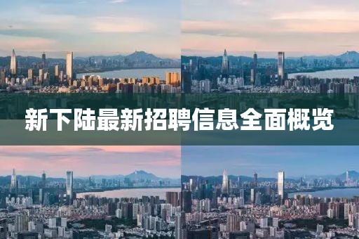新下陸最新招聘信息全面概覽