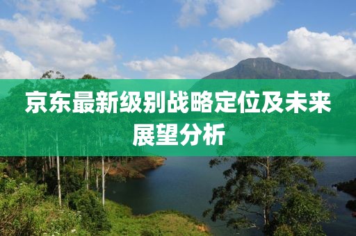 京東最新級別戰(zhàn)略定位及未來展望分析