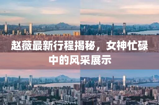 趙薇最新行程揭秘，女神忙碌中的風(fēng)采展示