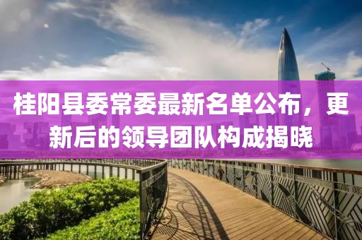 桂陽(yáng)縣委常委最新名單公布，更新后的領(lǐng)導(dǎo)團(tuán)隊(duì)構(gòu)成揭曉