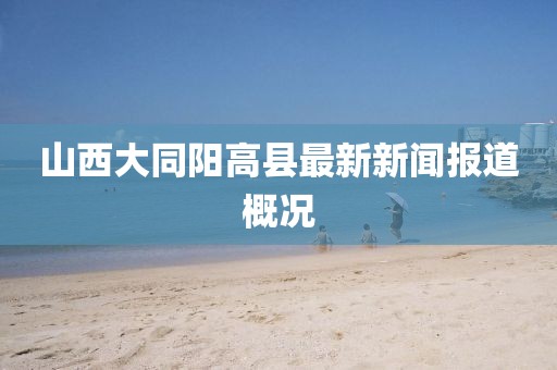 山西大同陽高縣最新新聞報(bào)道概況