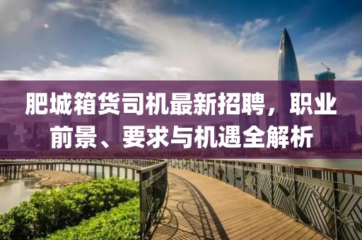 肥城箱貨司機(jī)最新招聘，職業(yè)前景、要求與機(jī)遇全解析