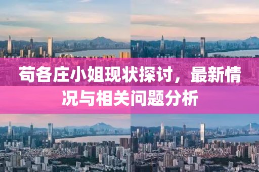 茍各莊小姐現(xiàn)狀探討，最新情況與相關(guān)問題分析
