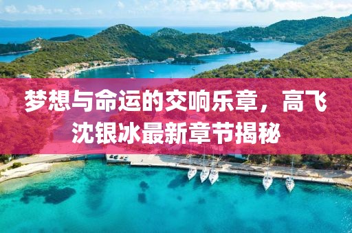 夢(mèng)想與命運(yùn)的交響樂(lè)章，高飛沈銀冰最新章節(jié)揭秘