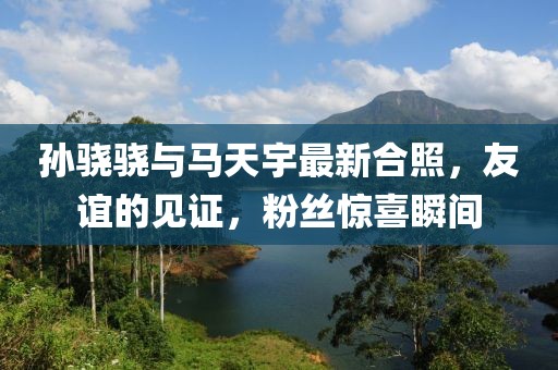 孫驍驍與馬天宇最新合照，友誼的見證，粉絲驚喜瞬間