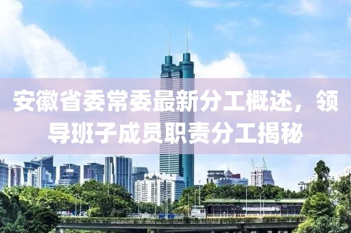 安徽省委常委最新分工概述，領(lǐng)導(dǎo)班子成員職責(zé)分工揭秘