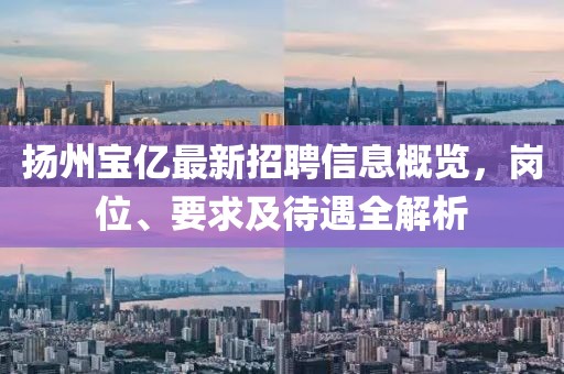 揚州寶億最新招聘信息概覽，崗位、要求及待遇全解析