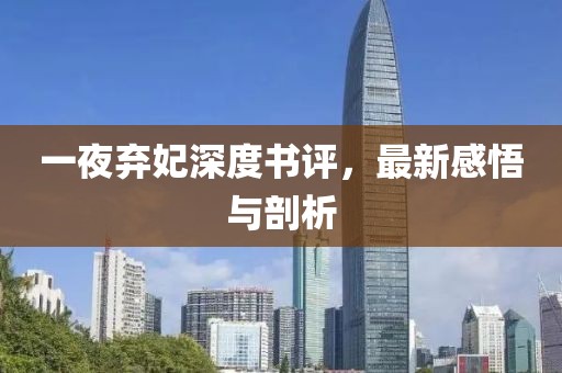 一夜棄妃深度書評，最新感悟與剖析