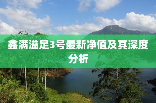 鑫滿溢足3號(hào)最新凈值及其深度分析