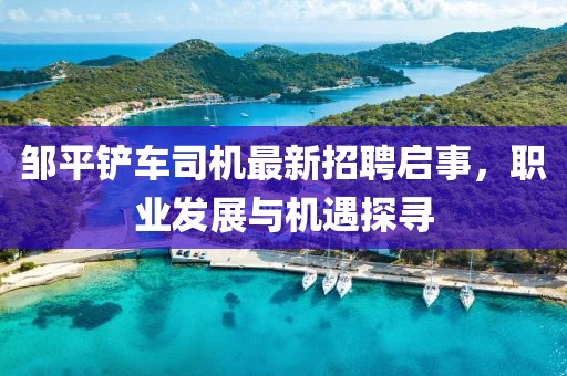 鄒平鏟車司機(jī)最新招聘啟事，職業(yè)發(fā)展與機(jī)遇探尋