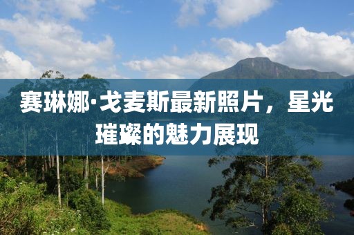 賽琳娜·戈麥斯最新照片，星光璀璨的魅力展現(xiàn)