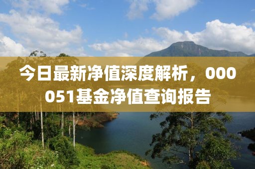 今日最新凈值深度解析，000051基金凈值查詢報告