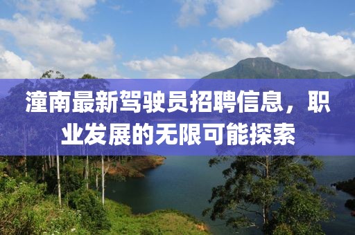 潼南最新駕駛員招聘信息，職業(yè)發(fā)展的無限可能探索
