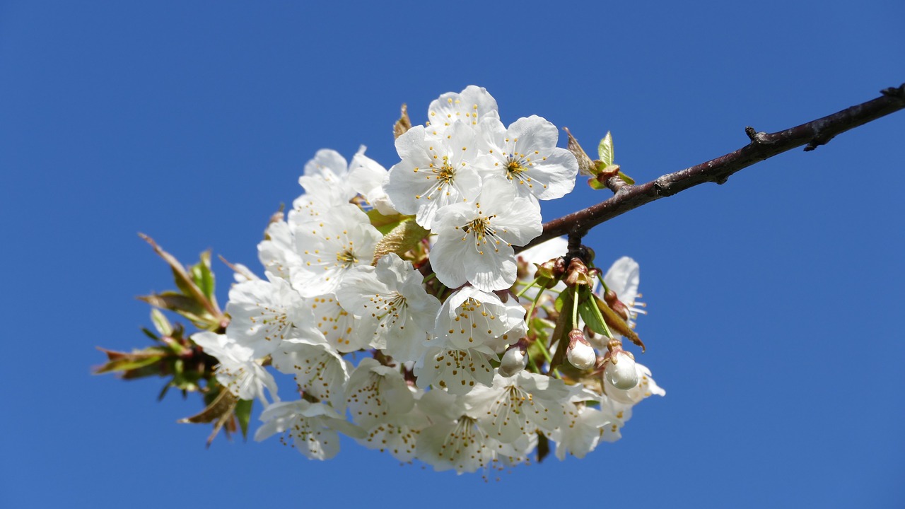 興永郴贛鐵路進(jìn)展順利，助力區(qū)域經(jīng)濟(jì)發(fā)展新動態(tài)