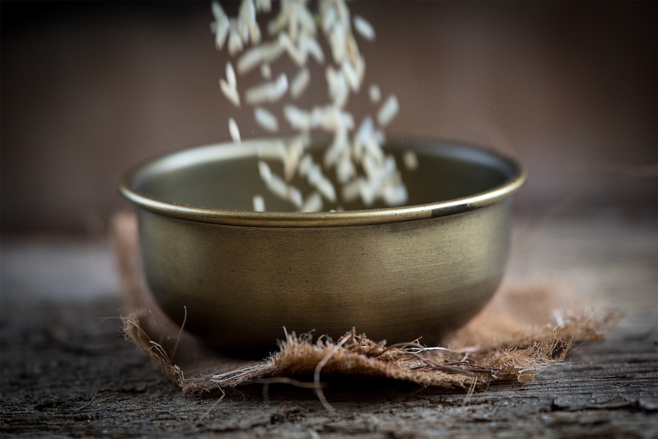 湛江御景珺庭最新動(dòng)態(tài)揭秘，城市璀璨明珠的隱藏魅力