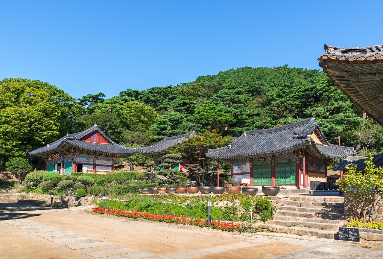 廣饒四季花城，繁榮盛景與未來期待揭秘
